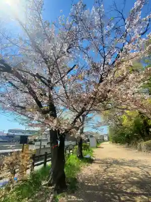 高山神社(群馬県)