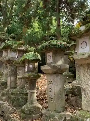 春日大社(奈良県)