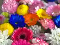 札幌諏訪神社の手水舎