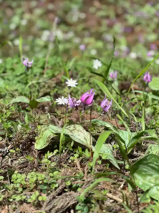 白河神社(福島県)
