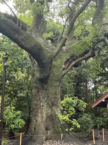 月夜見宮（豊受大神宮別宮）(三重県)