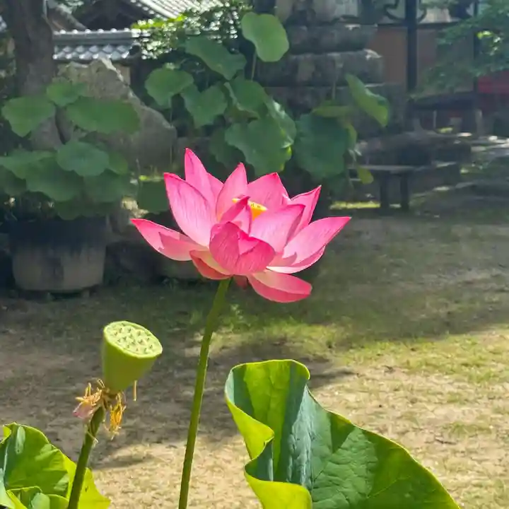 伊勢の国 四天王寺(三重県)