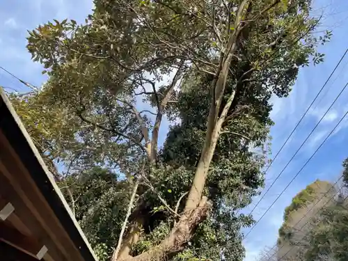 山中貞心神社の自然