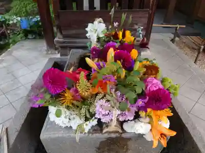 勝林寺(京都府)