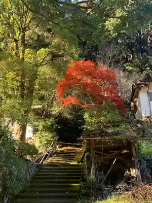 流谷八幡神社(大阪府)