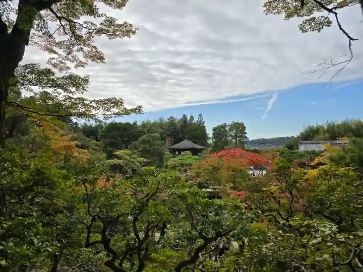 慈照寺(慈照禅寺・銀閣寺)(京都府)