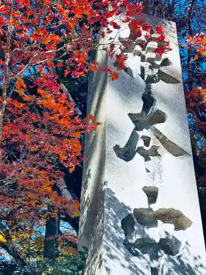 延暦寺 根本中堂の{uncategorized: "未分類", other: "その他", undefined: "問題あり", building: "その他建物", grave: "お墓", sacred_gate: "鳥居", guardian: "狛犬", statue: "像", buddha: "仏像", history: "歴史", nature: "自然", garden: "庭園", animal: "動物", pagoda: "塔", temizu: "手水舎", mountain_gate: "山門・神門", sanctuary: "本殿・本堂", subordinate: "末社・摂社", art: "芸術", scenery: "景色", jizo: "地蔵", ema: "絵馬", goshuin: "御朱印", omikuji: "おみくじ", items: "授与品その他", amulet: "お守り", goshuincho: "御朱印帳", eats: "食事", festival: "お祭り", votive_dance: "神楽", shichigosan: "七五三参", wedding: "結婚式", experience: "体験その他", initially: "初詣", around: "周辺", anti_infection: "感染症対策"}