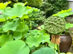 伊勢の国 四天王寺(三重県)