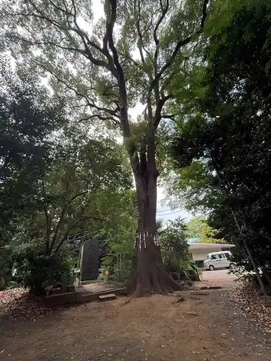 代々木八幡宮(東京都)