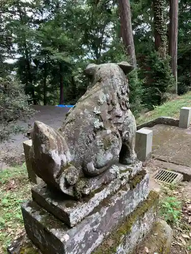 白山神社の狛犬