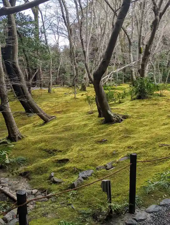 祇王寺(京都府)