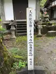 諦応寺(福井県)