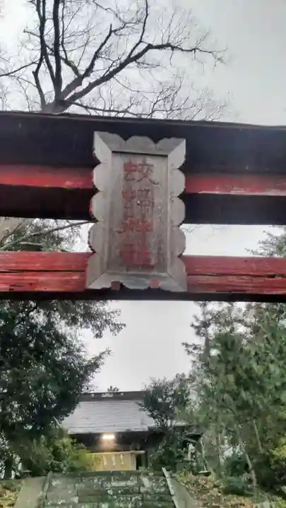 蛟蝄神社門の宮(茨城県)