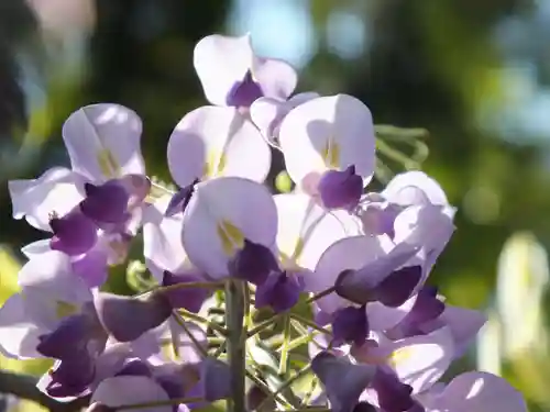 三大神社のその他建物