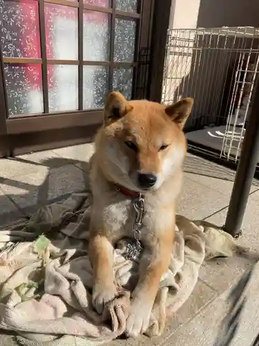 鶴峯八幡宮(千葉県)
