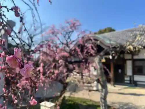 比佐豆知神社の{uncategorized: "未分類", other: "その他", undefined: "問題あり", building: "その他建物", grave: "お墓", sacred_gate: "鳥居", guardian: "狛犬", statue: "像", buddha: "仏像", history: "歴史", nature: "自然", garden: "庭園", animal: "動物", pagoda: "塔", temizu: "手水舎", mountain_gate: "山門・神門", sanctuary: "本殿・本堂", subordinate: "末社・摂社", art: "芸術", scenery: "景色", jizo: "地蔵", ema: "絵馬", goshuin: "御朱印", omikuji: "おみくじ", items: "授与品その他", amulet: "お守り", goshuincho: "御朱印帳", eats: "食事", festival: "お祭り", votive_dance: "神楽", shichigosan: "七五三参", wedding: "結婚式", experience: "体験その他", initially: "初詣", around: "周辺", anti_infection: "感染症対策"}