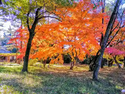住吉社（萩原町）の自然