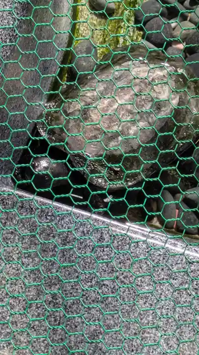 祐正寺(京都府)