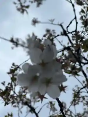 竜谷寺(岩手県)