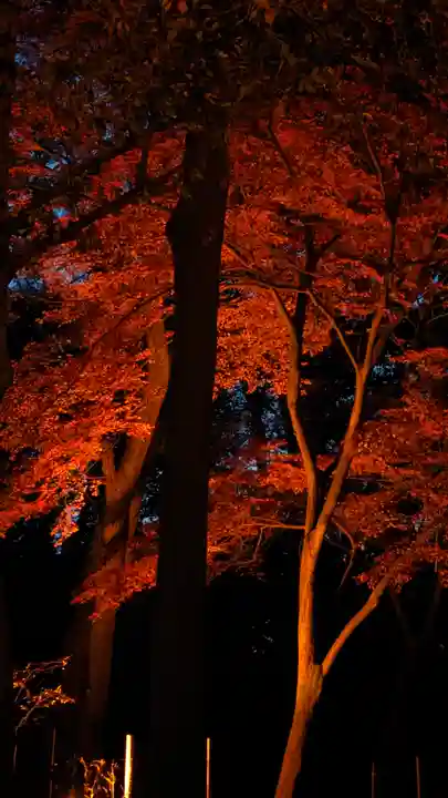 賀茂御祖神社(下鴨神社)(京都府)