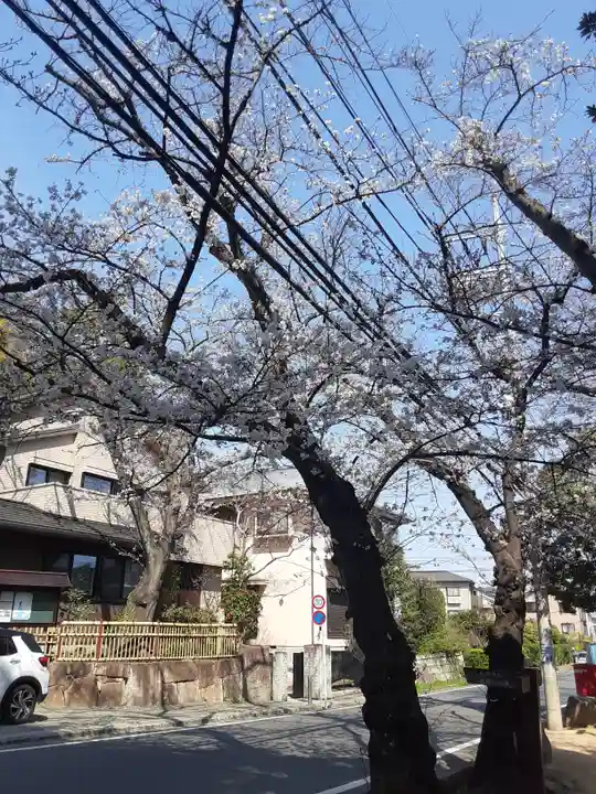 師岡熊野神社(神奈川県)
