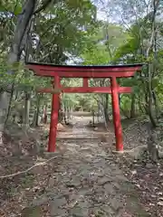 赤神神社(秋田県)