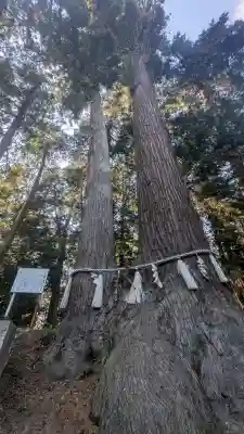 磯山神社の{uncategorized: "未分類", other: "その他", undefined: "問題あり", building: "その他建物", grave: "お墓", sacred_gate: "鳥居", guardian: "狛犬", statue: "像", buddha: "仏像", history: "歴史", nature: "自然", garden: "庭園", animal: "動物", pagoda: "塔", temizu: "手水舎", mountain_gate: "山門・神門", sanctuary: "本殿・本堂", subordinate: "末社・摂社", art: "芸術", scenery: "景色", jizo: "地蔵", ema: "絵馬", goshuin: "御朱印", omikuji: "おみくじ", items: "授与品その他", amulet: "お守り", goshuincho: "御朱印帳", eats: "食事", festival: "お祭り", votive_dance: "神楽", shichigosan: "七五三参", wedding: "結婚式", experience: "体験その他", initially: "初詣", around: "周辺", anti_infection: "感染症対策"}