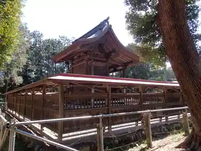 出雲伊波比神社の本殿・本堂