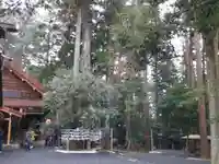 椿大神社の自然