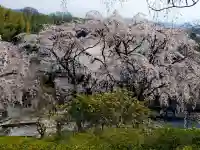 天龍寺の{uncategorized: "未分類", other: "その他", undefined: "問題あり", building: "その他建物", grave: "お墓", sacred_gate: "鳥居", guardian: "狛犬", statue: "像", buddha: "仏像", history: "歴史", nature: "自然", garden: "庭園", animal: "動物", pagoda: "塔", temizu: "手水舎", mountain_gate: "山門・神門", sanctuary: "本殿・本堂", subordinate: "末社・摂社", art: "芸術", scenery: "景色", jizo: "地蔵", ema: "絵馬", goshuin: "御朱印", omikuji: "おみくじ", items: "授与品その他", amulet: "お守り", goshuincho: "御朱印帳", eats: "食事", festival: "お祭り", votive_dance: "神楽", shichigosan: "七五三参", wedding: "結婚式", experience: "体験その他", initially: "初詣", around: "周辺", anti_infection: "感染症対策"}