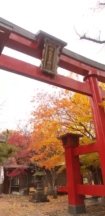 彌彦神社 (伊夜日子神社)の鳥居
