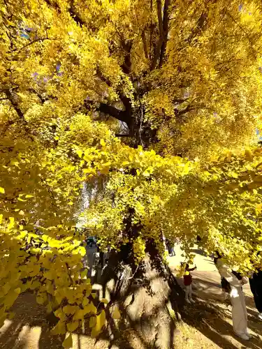 丹生酒殿神社(和歌山県)