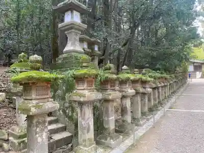 春日大社の{uncategorized: "未分類", other: "その他", undefined: "問題あり", building: "その他建物", grave: "お墓", sacred_gate: "鳥居", guardian: "狛犬", statue: "像", buddha: "仏像", history: "歴史", nature: "自然", garden: "庭園", animal: "動物", pagoda: "塔", temizu: "手水舎", mountain_gate: "山門・神門", sanctuary: "本殿・本堂", subordinate: "末社・摂社", art: "芸術", scenery: "景色", jizo: "地蔵", ema: "絵馬", goshuin: "御朱印", omikuji: "おみくじ", items: "授与品その他", amulet: "お守り", goshuincho: "御朱印帳", eats: "食事", festival: "お祭り", votive_dance: "神楽", shichigosan: "七五三参", wedding: "結婚式", experience: "体験その他", initially: "初詣", around: "周辺", anti_infection: "感染症対策"}
