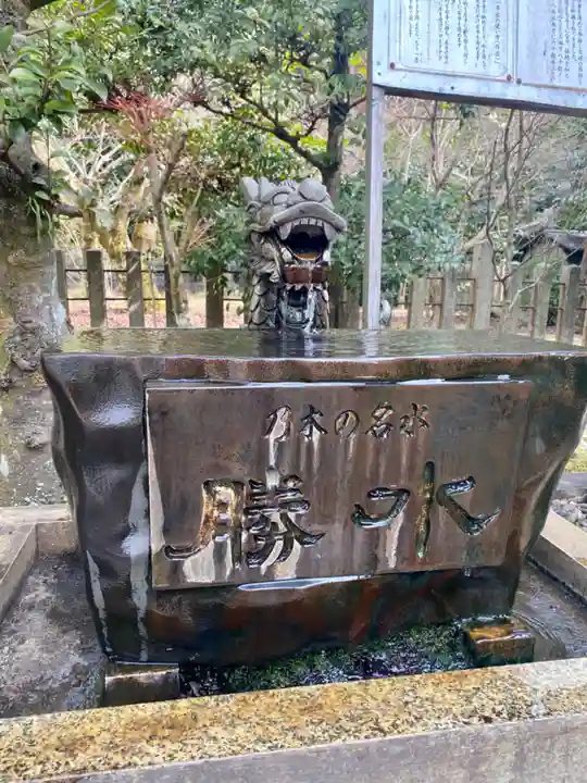 京都乃木神社の手水舎