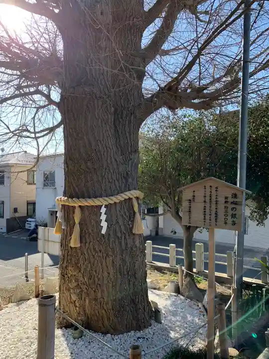 鹿嶋神社の自然