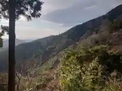 大山阿夫利神社の景色