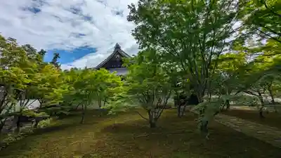 妙覺寺（妙覚寺）(京都府)