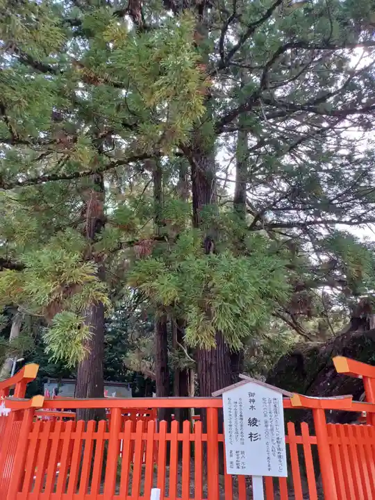 香椎宮(福岡県)
