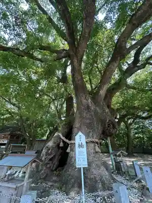 大麻比古神社(徳島県)