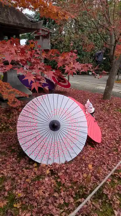 勝林寺(京都府)