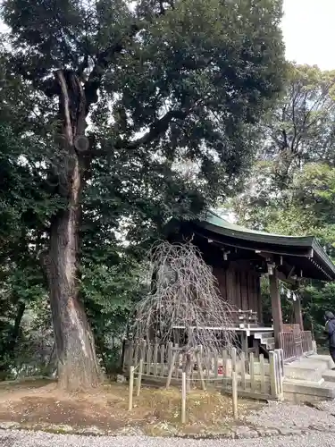 武蔵一宮氷川神社(埼玉県)