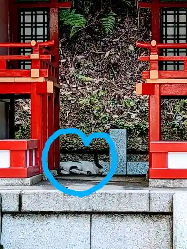 白金氷川神社の動物