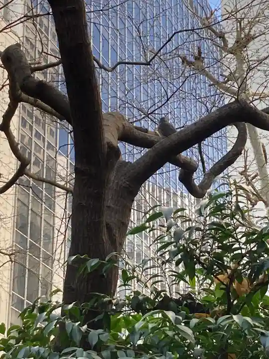 虎ノ門金刀比羅宮(東京都)