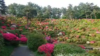 塩船観音寺(東京都)
