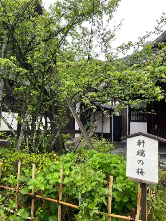 東北院(京都府)