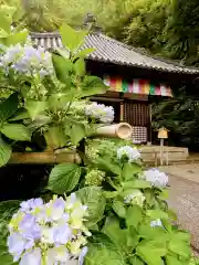 長谷寺(奈良県)