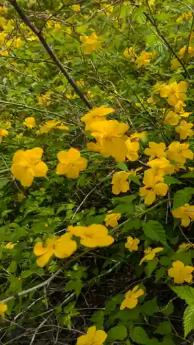 本法寺(京都府)