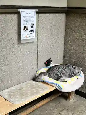 回向院(東京都)