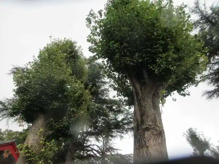 時宗総本山 遊行寺(正式:清浄光寺)(神奈川県)