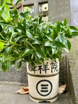 麟祥院(東京都)